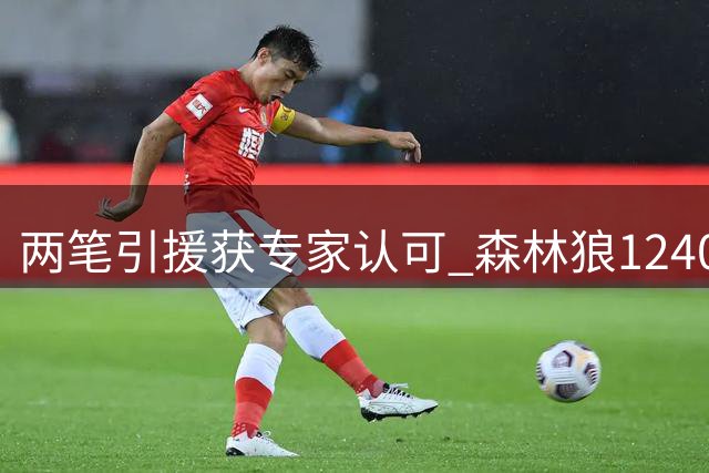 两笔引援获专家认可 森林狼1240万签库明加 鹈鹕1600万得马瑟林