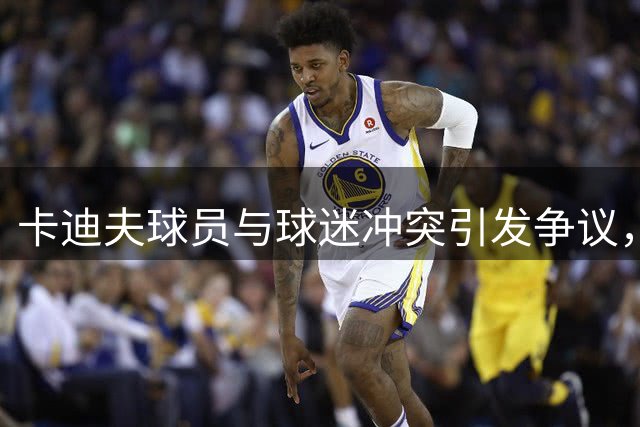 卡迪夫球员与球迷冲突引发争议，足总启动调查